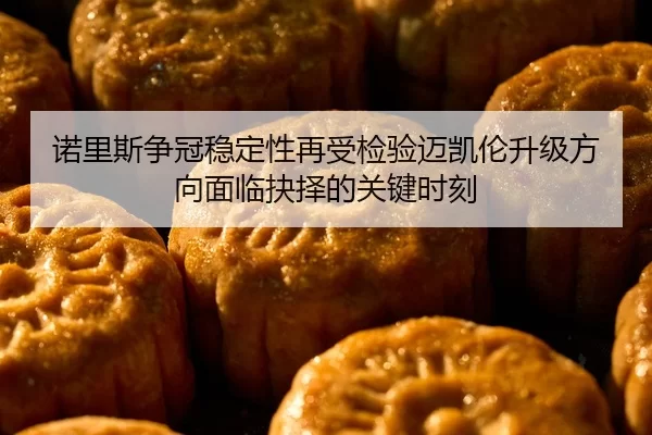 诺里斯争冠稳定性再受检验迈凯伦升级方向面临抉择的关键时刻