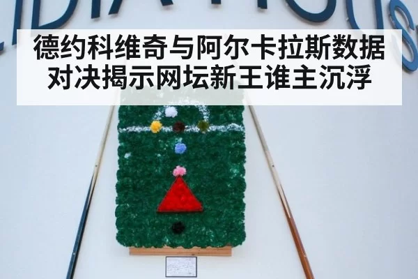 德约科维奇与阿尔卡拉斯数据对决揭示网坛新王谁主沉浮