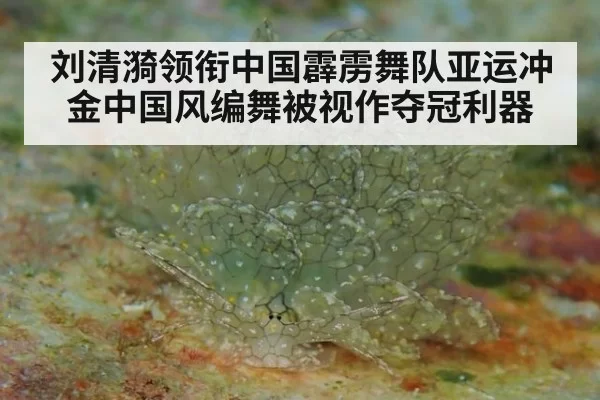 刘清漪领衔中国霹雳舞队亚运冲金中国风编舞被视作夺冠利器
